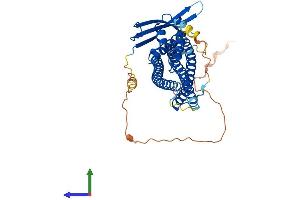 AlphaFold protein structure predicition of Mouse Recombinant Snx30 Protein, UniprotID Q8CE50