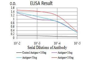 Black line: Control Antigen (100 ng), Purple line: Antigen(10 ng), Blue line: Antigen (50 ng), Red line: Antigen (100 ng), (RAB13 抗体  (AA 66-200))