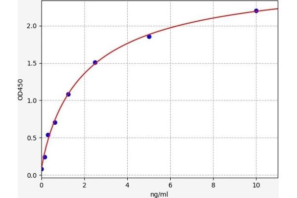 CD44 ELISA 试剂盒