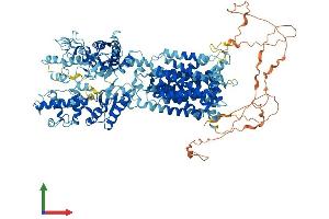 AlphaFold protein structure predicition of Mouse Recombinant Ptch2 Protein, UniprotID O35595