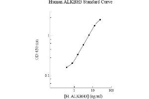 Image no. 1 for AlkB, Alkylation Repair Homolog 3 (ALKBH3) ELISA Kit (ABIN5564610) (ALKBH3 ELISA 试剂盒)