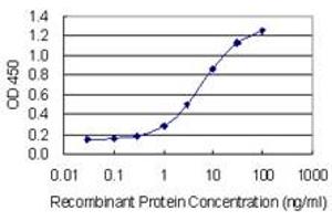 Detection limit for recombinant GST tagged ALYREF is 0. (THO Complex 4 抗体  (AA 106-193))