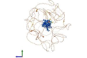 Protein Structure (PS) image for Insulin Receptor Substrate 1 (IRS1) (AA 1-1242) protein (His tag) (ABIN7554213)