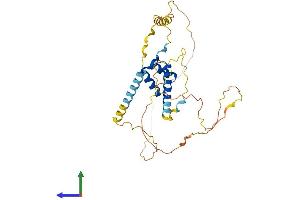 Protein Structure (PS) image for NK2 Homeobox 5 (NKX2-5) (AA 1-324) protein (His tag) (ABIN7549886)