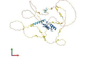 Protein Structure (PS) image for Zinc Finger Protein 207 (ZNF207) (AA 1-478) protein (His tag) (ABIN7556132)