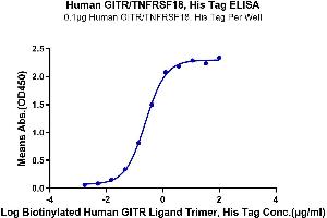 ELISA image for Tumor Necrosis Factor Receptor Superfamily, Member 18 (TNFRSF18) (AA 26-161) protein (His tag) (ABIN7274786)