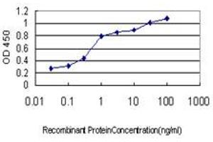 Detection limit for recombinant GST tagged HFE is approximately 0. (HFE 抗体  (AA 115-205))