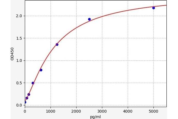 CEBPZ ELISA 试剂盒