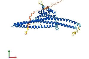 Protein Structure (PS) image for Sorting Nexin 4 (SNX4) (AA 1-450) protein (His tag) (ABIN7560104)