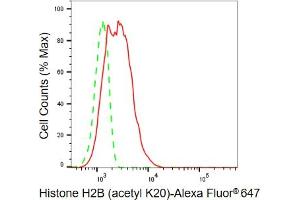 Flow cytometric analysis of Histone H2B (acetyl K20) expression in C2C12 cells using Histone H2B (acetyl K20) antibody (ABIN7798944), 1:2,000). (Recombinant Histone H2B 抗体  (H2BK20ac))