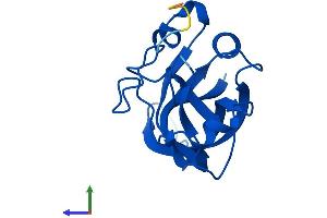 Protein Structure (PS) image for gamma-Glutamylamine Cyclotransferase (GGACT) (AA 1-149) protein (His tag) (ABIN7560246)