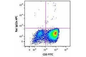 Flow Cytometry (FACS) image for anti-Colony Stimulating Factor 2 (Granulocyte-Macrophage) (CSF2) antibody (APC) (ABIN2658321) (GM-CSF 抗体  (APC))