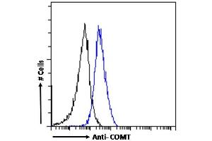 (ABIN185328) Flow cytometric analysis of paraformaldehyde fixed A431 cells (blue line), permeabilized with 0. (COMT 抗体  (N-Term))