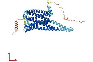 AlphaFold protein structure predicition of Human Recombinant GPR45 Protein, UniprotID Q9Y5Y3