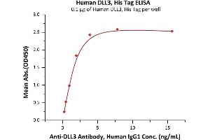 ELISA image for delta Like Protein 3 (DLL3) (AA 27-492) protein (His tag) (ABIN6809864)