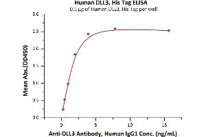 Immobilized Human DLL3, His Tag (ABIN6731288,ABIN6809864) at 1 μg/mL (100 μL/well) can bind A Antibody, Human IgG1 with a linear range of 0. (DLL3 Protein (AA 27-492) (His tag))