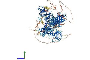 Protein Structure (PS) image for ArfGAP with RhoGAP Domain, Ankyrin Repeat and PH Domain 1 (ARAP1) (AA 1-1450) protein (His tag) (ABIN7552232)