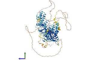 Protein Structure (PS) image for Integrator Complex Subunit 6 (INTS6) (AA 1-883) protein (His tag) (ABIN7564111)