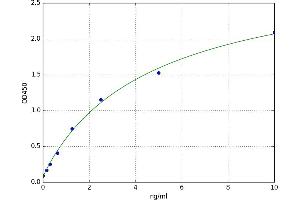 A typical standard curve (NUP160 ELISA 试剂盒)