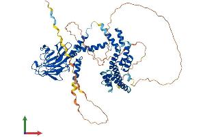 AlphaFold protein structure predicition of Mouse Recombinant Ranbp9 Protein, UniprotID P69566