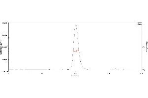 Image no. 3 for SARS-CoV-2 Spike S1 (RBD) protein (His tag,AVI tag,Biotin) (ABIN6952456)