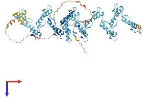 Zinc Finger Protein 337 (ZNF337) (AA 1-751) protein (His tag)