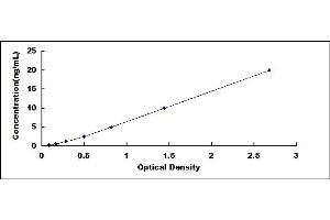 Typical standard curve (CTH ELISA 试剂盒)
