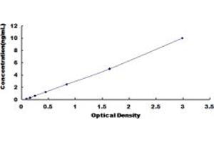 Typical standard curve (CCR7 ELISA 试剂盒)