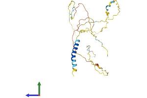 AlphaFold protein structure predicition of Human Recombinant LAT Protein, UniprotID O43561