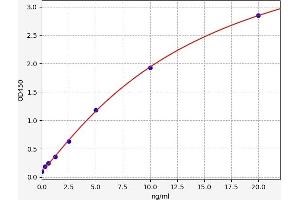 Typical standard curve (SUMO2 ELISA 试剂盒)