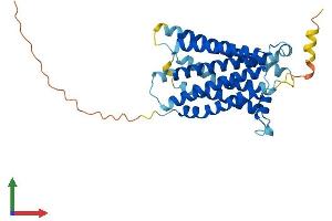 AlphaFold protein structure predicition of Human Recombinant MAS1 Protein, UniprotID P04201
