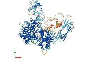 AlphaFold protein structure predicition of Human Recombinant MOV10 Protein, UniprotID Q9HCE1