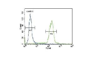 B2M Antibody (N-term) (ABIN389258 and ABIN2839396) flow cytometric analysis of Hela cells (right histogram) compared to a negative control cell (left histogram). (beta-2 Microglobulin 抗体  (N-Term))