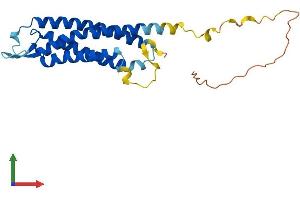 Protein Structure (PS) image for Synaptogyrin 1 (SYNGR1) (AA 1-233) protein (His tag) (ABIN7546326)