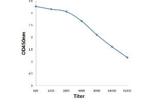 Antigen: 0. (CPA1 抗体  (AA 201-300))