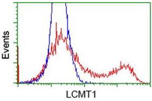 HEK293T cells transfected with either RC200018 overexpress plasmid (Red) or empty vector control plasmid (Blue) were immunostained by anti-LCMT1 antibody (ABIN2454742), and then analyzed by flow cytometry. (LCMT1 抗体)