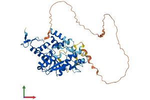 Protein Structure (PS) image for Cytosolic Thiouridylase Subunit 1 Homolog (CTU1) (AA 1-420) protein (His tag) (ABIN7560293)