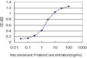 Detection limit for recombinant GST tagged RIPK2 is approximately 0. (RIPK2 抗体  (AA 431-540))