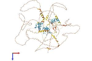 ATM Interactor Protein (ATMIN) (AA 1-818) (His tag)