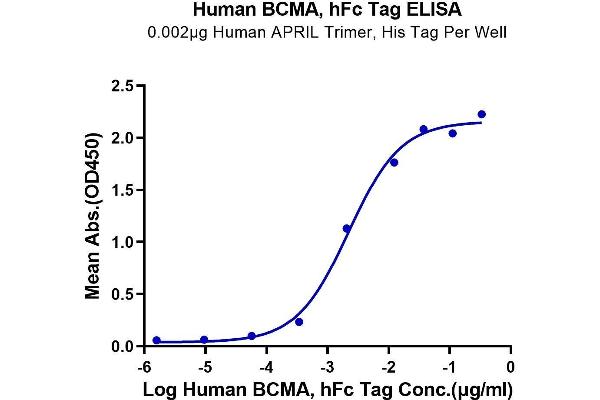 BCMA Protein (AA 1-54) (Fc Tag)