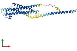Protein Structure (PS) image for Syntaxin 1A (Brain) (STX1A) (AA 1-288) protein (His tag) (ABIN7562333)