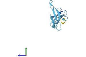 Protein Structure (PS) image for Polymerase (RNA) III (DNA Directed) Polypeptide K, 12.3 KDa (POLR3K) (AA 1-108) protein (His tag) (ABIN7560594)