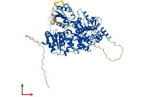 AlphaFold protein structure predicition of Human Recombinant DHX32 Protein, UniprotID Q7L7V1