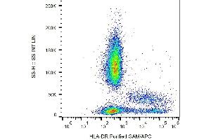 Surface staining of HLA-DR in human peripheral blood with anti-HLA-DR (L243) purified / GAM-APC. (HLA-DR 抗体)