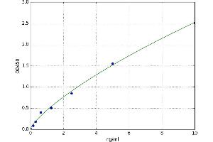A typical standard curve (p63 ELISA 试剂盒)