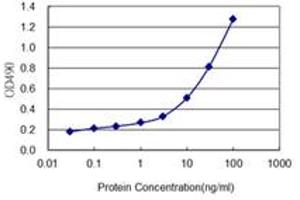 Sandwich ELISA detection sensitivity ranging from 1 ng/ml to 100 ng/ml. (SGCG (人) Matched Antibody Pair)