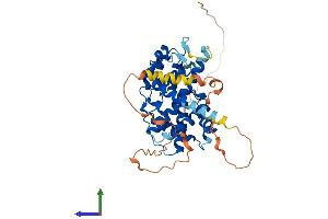 Protein Structure (PS) image for Cyclin J-Like (CCNJL) (AA 1-387) protein (His tag) (ABIN7557525)