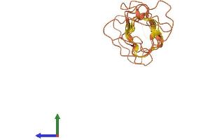 Protein Structure (PS) image for Keratin Associated Protein 5-8 (KRTAP5-8) (AA 1-189) protein (His tag) (ABIN7561028)