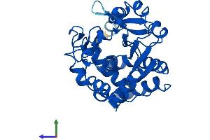 Protein Structure (PS) image for Sulfotransferase Family 1E Member 1 (SULT1E1) (AA 1-294) protein (His tag) (ABIN7546322)