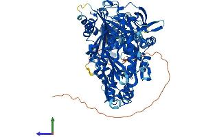 AlphaFold protein structure predicition of Mouse Recombinant Piwil4 Protein, UniprotID Q8CGT6